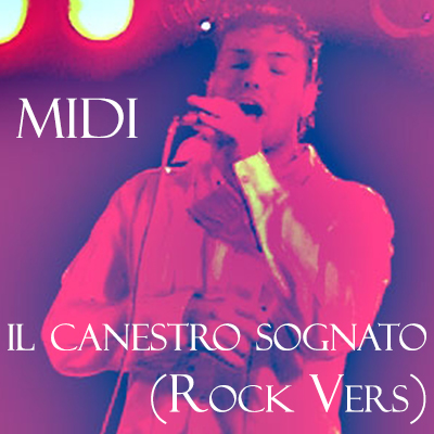 Il canestro sognato